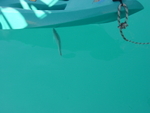 BVI-265