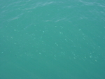 BVI-272