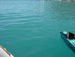 BVI-275