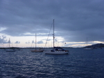BVI-289