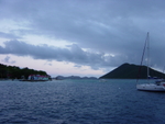 BVI-290