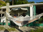 BVI-312