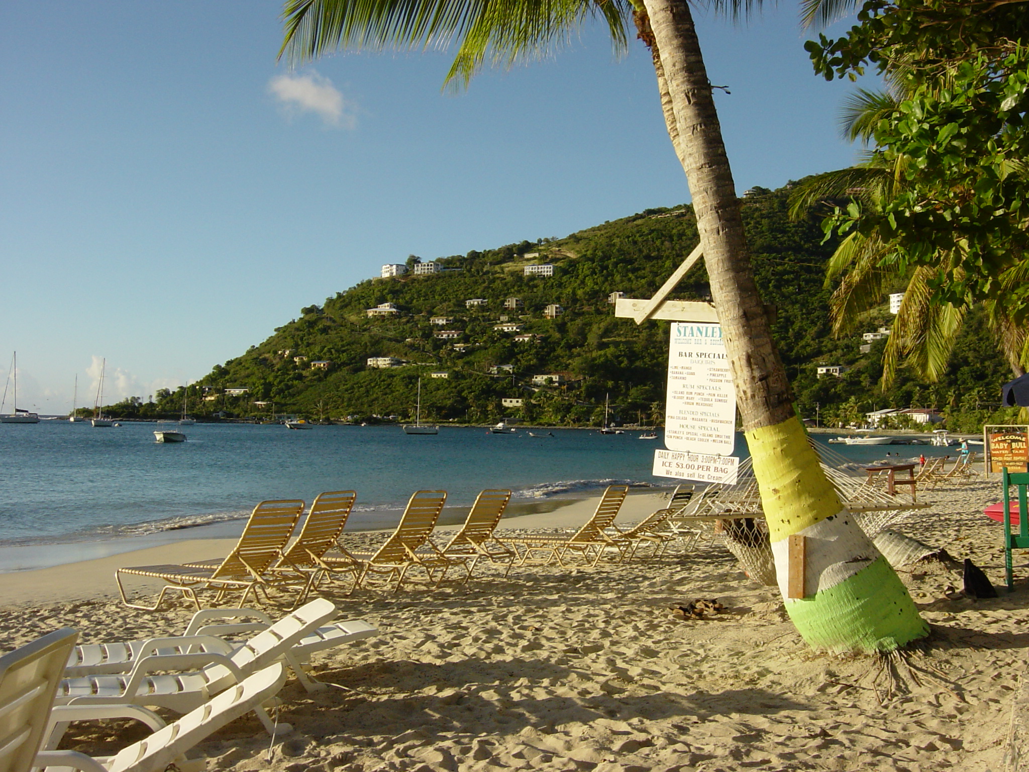 BVI-313