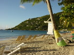 BVI-313