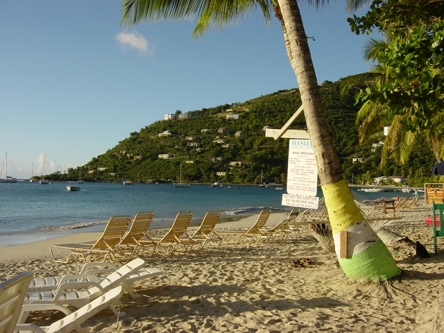 BVI-313