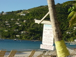 BVI-314