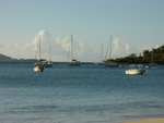 BVI-316