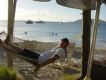 BVI-317
