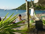 BVI-318
