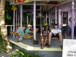 BVI-319