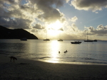 BVI-326