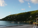 BVI-328