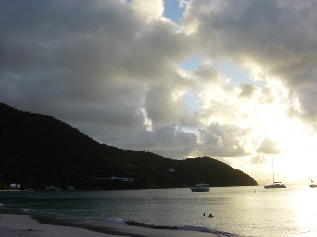 BVI-330
