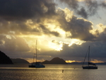 BVI-335