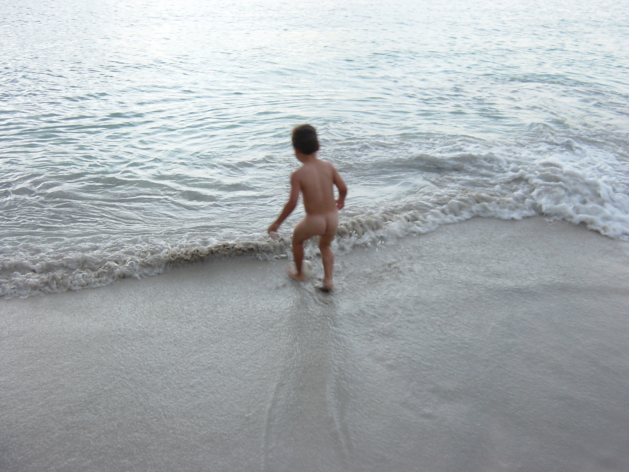 BVI-348