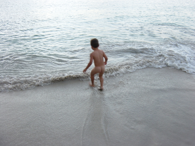 BVI-348