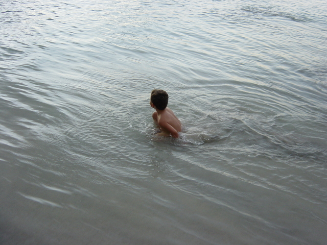 BVI-350