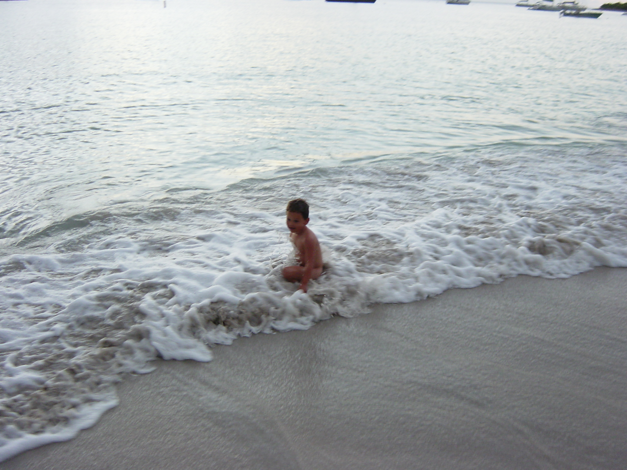 BVI-356