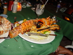 BVI-365
