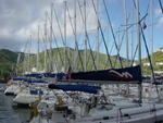 BVI-369