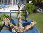 BVI-370