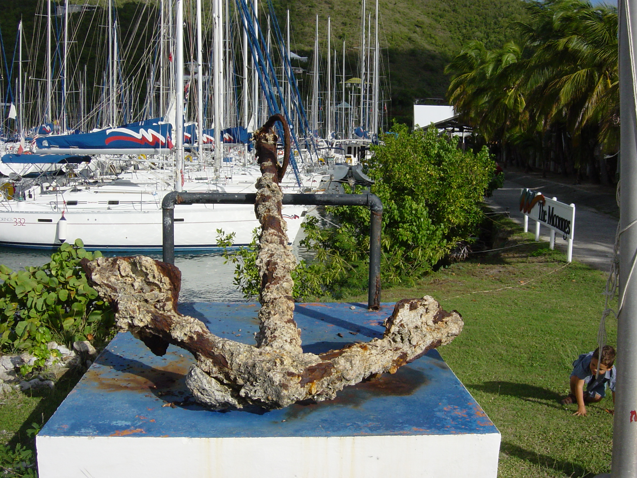 BVI-371