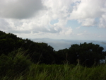 BVI-385