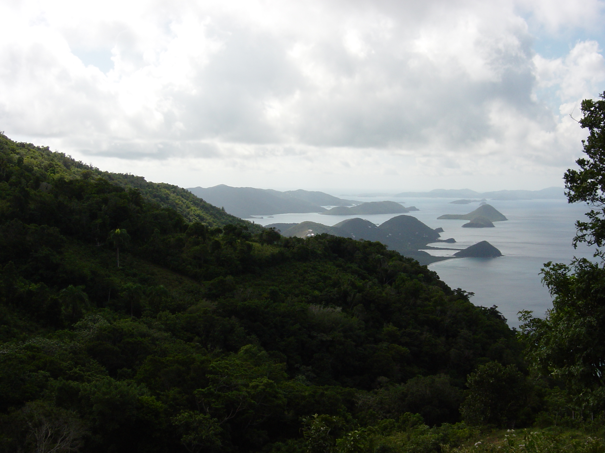 BVI-402