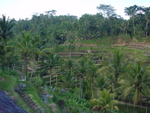 Indonesia-003